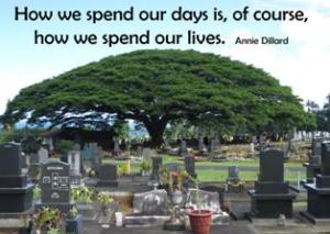 how-we-spend-life